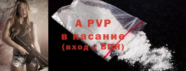 ECSTASY Михайлов