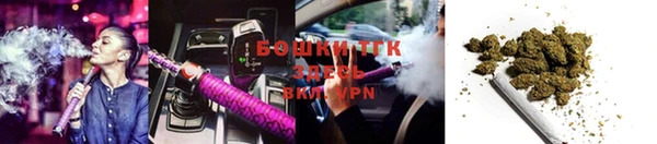 ECSTASY Михайлов