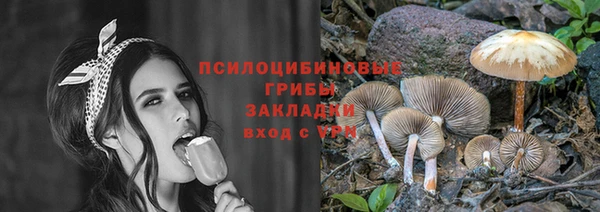 ECSTASY Михайлов