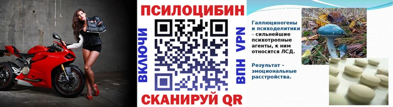 Купить закладки  Малоярославец  Галлюциногенные грибы ЛСД 